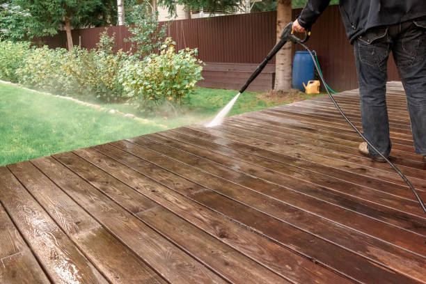 Best Roof Cleaning and Mildew Removal in Exmore, VA