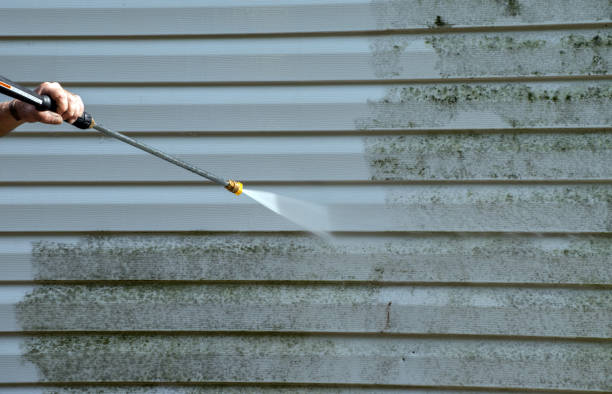 Best Deck and Patio Pressure Washing in Exmore, VA